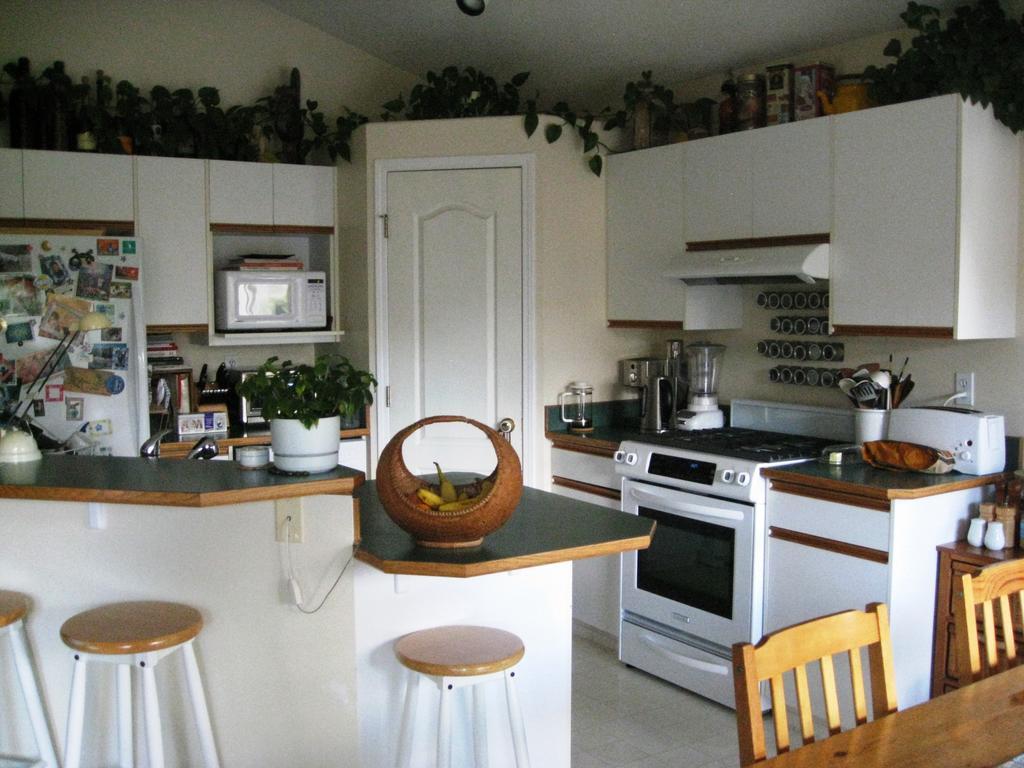 Avens Renaissance B&B Canmore Zewnętrze zdjęcie