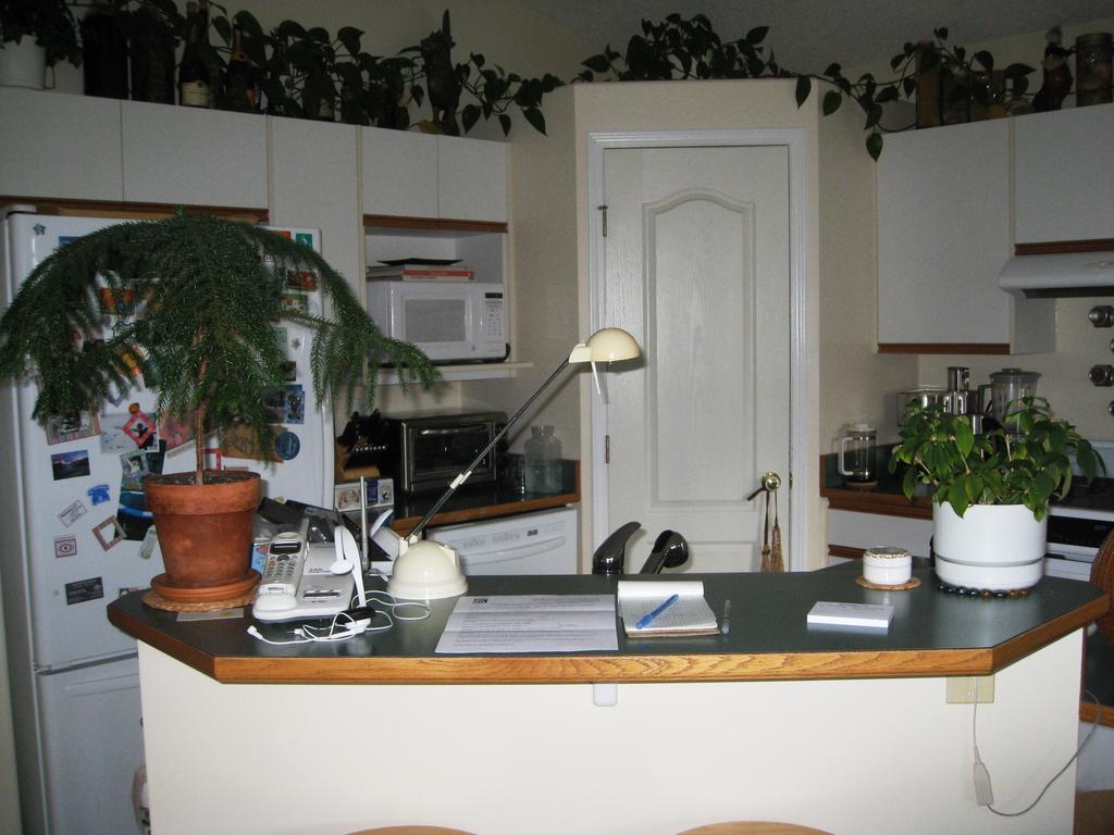 Avens Renaissance B&B Canmore Zewnętrze zdjęcie